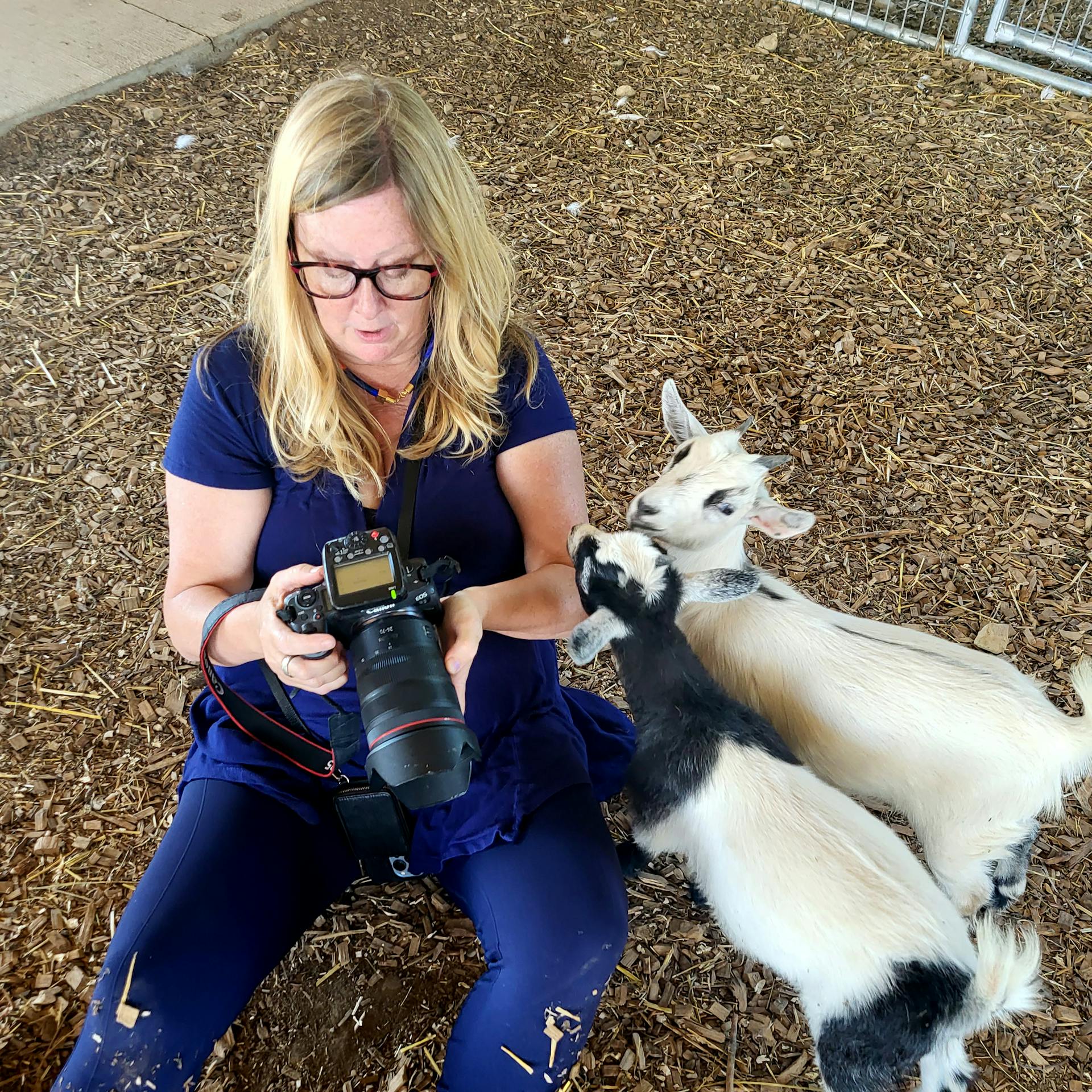 We work with animals and people.