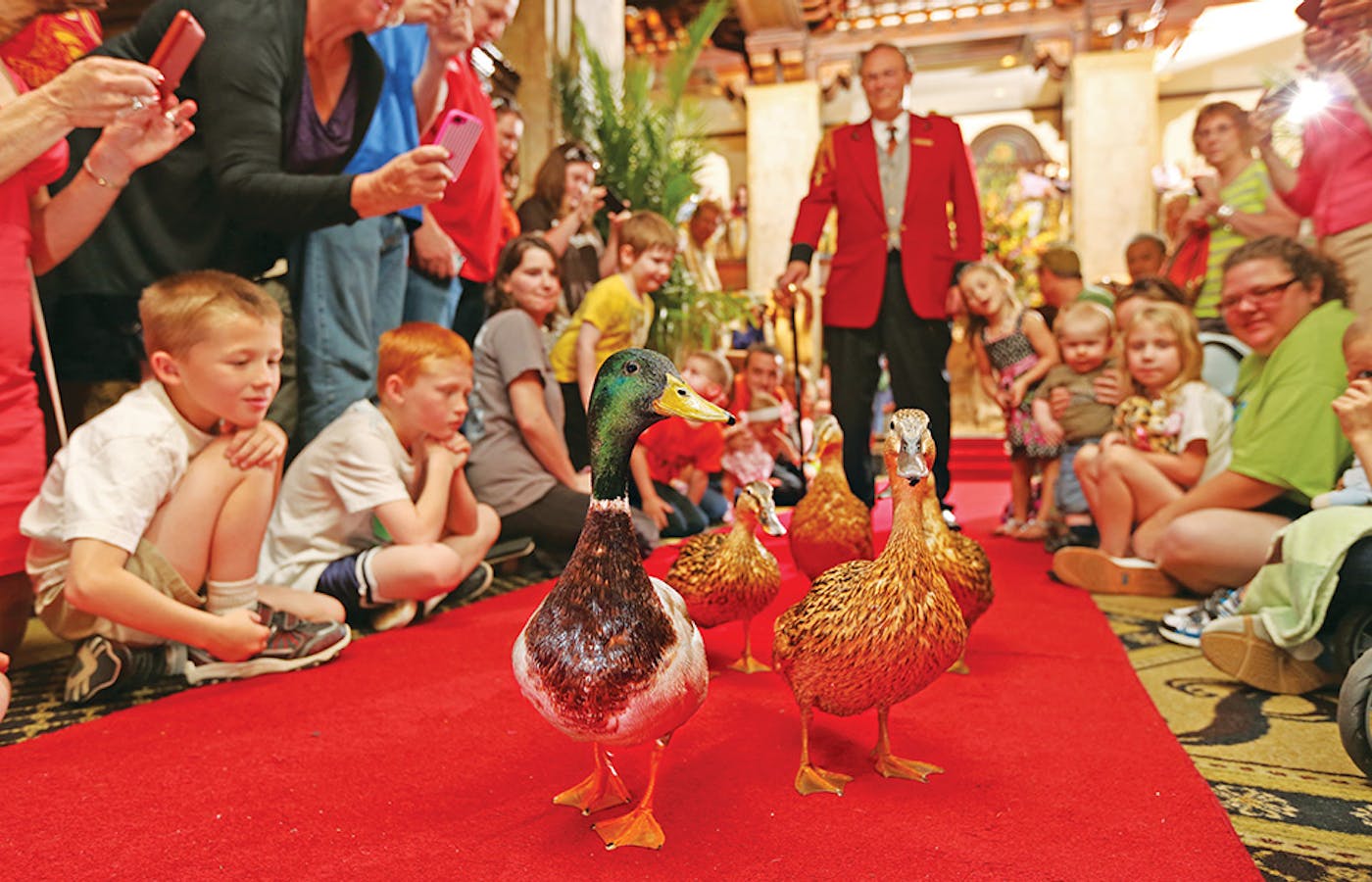 Families at the duck parade at The Peabody hotel in Memphis, Tennessee (photo courtesy of Memphis Convention & Visitors Bureau)