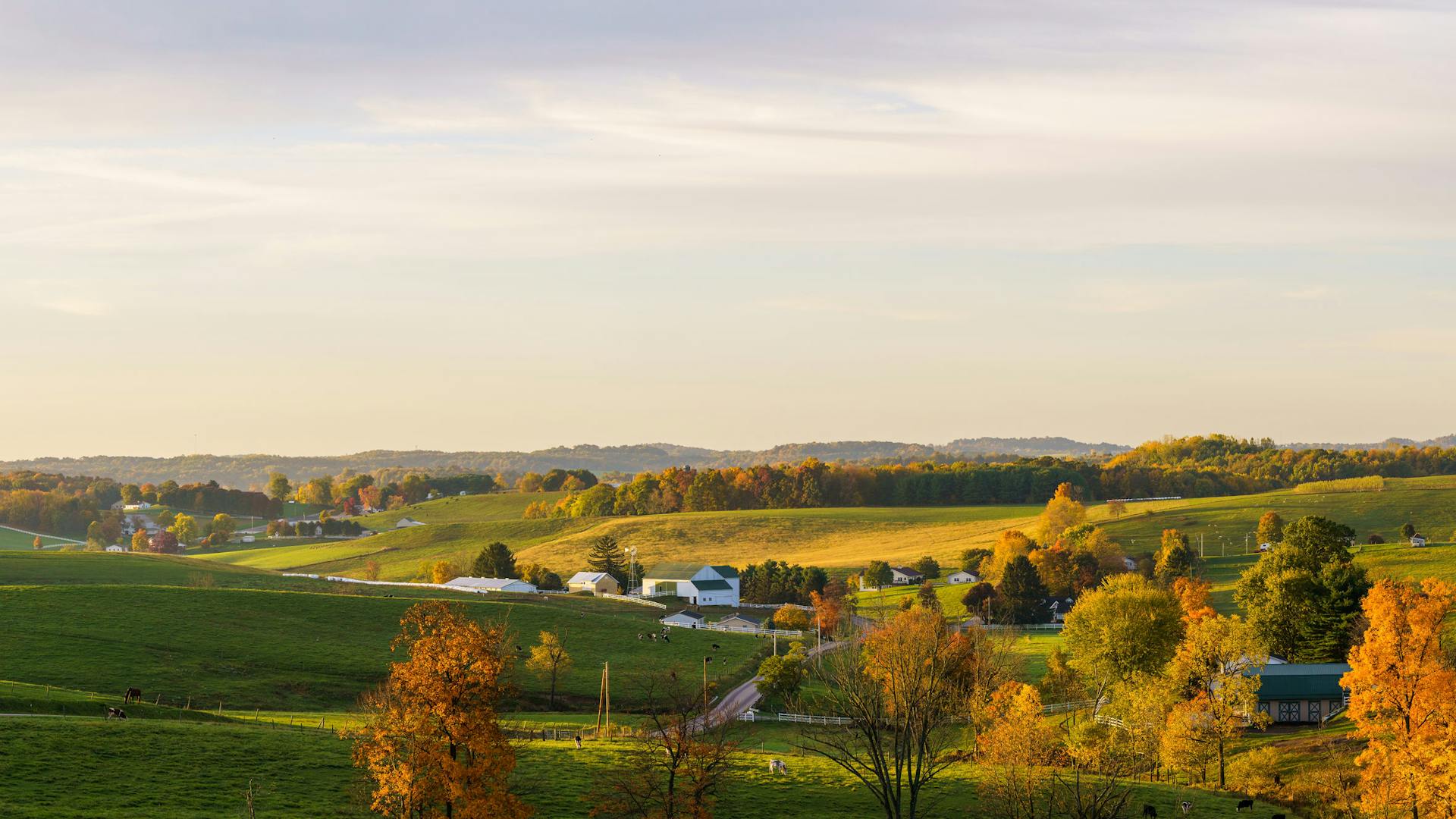 A look out across the rolling hills of Holmes County during autumn