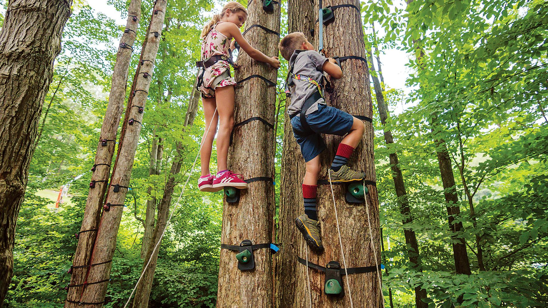 Sky High Adventure Park in Ellicottville, New York (photo courtesy of destination)