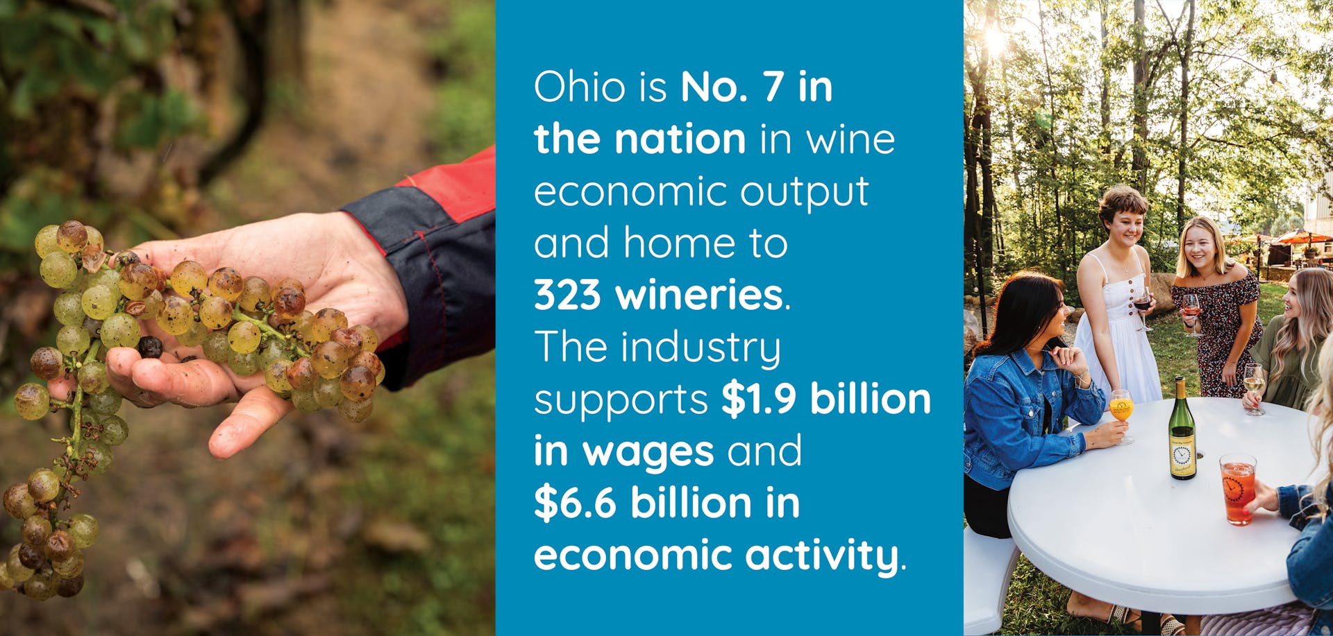 Ohio Grape Industry economic impact