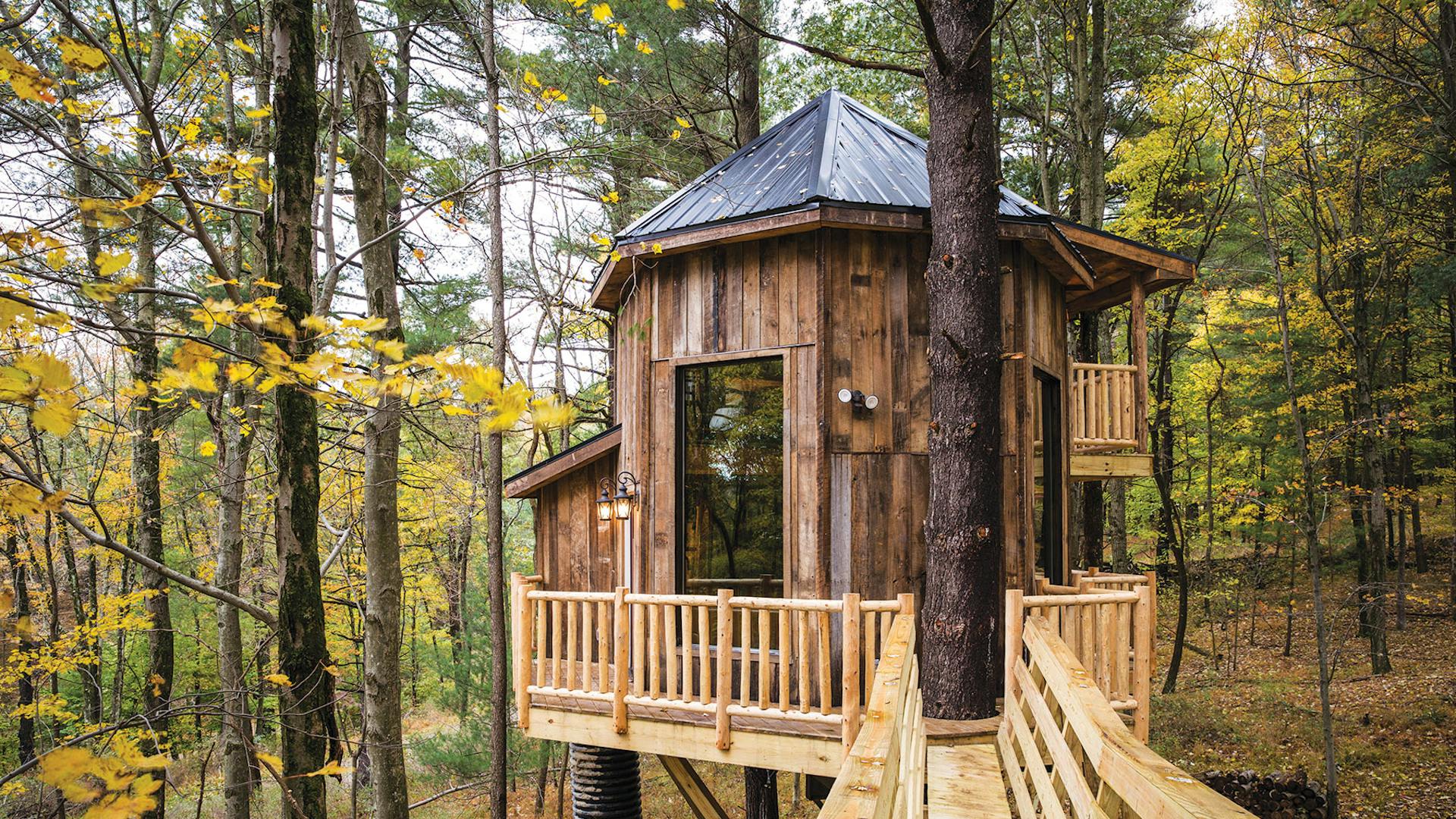 The Mohicans Treehouses in Glenmont, Ohio (photo courtesy of destination)