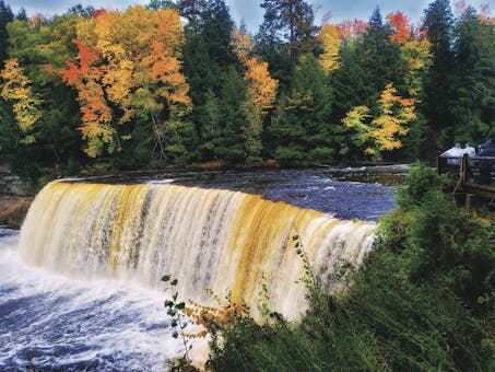 The famous falls at Tahquamenon Falls State Park in Paradise, Michigan (photo courtesy of Upper Peninsula Travel & Recreation)