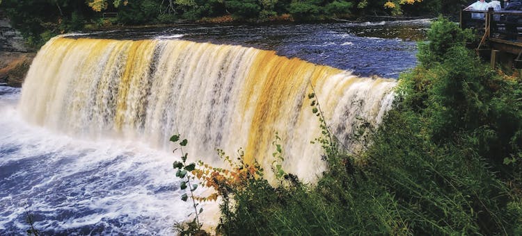 The famous falls at Tahquamenon Falls State Park in Paradise, Michigan (photo courtesy of Upper Peninsula Travel & Recreation)