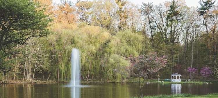 Pond with fountain and willow trees at Friendship Botanic Gardens in Michigan City, Indiana (photo courtesy of Friendship Botanic Gardens)