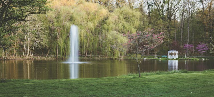 Pond with fountain and willow trees at Friendship Botanic Gardens in Michigan City, Indiana (photo courtesy of Friendship Botanic Gardens)