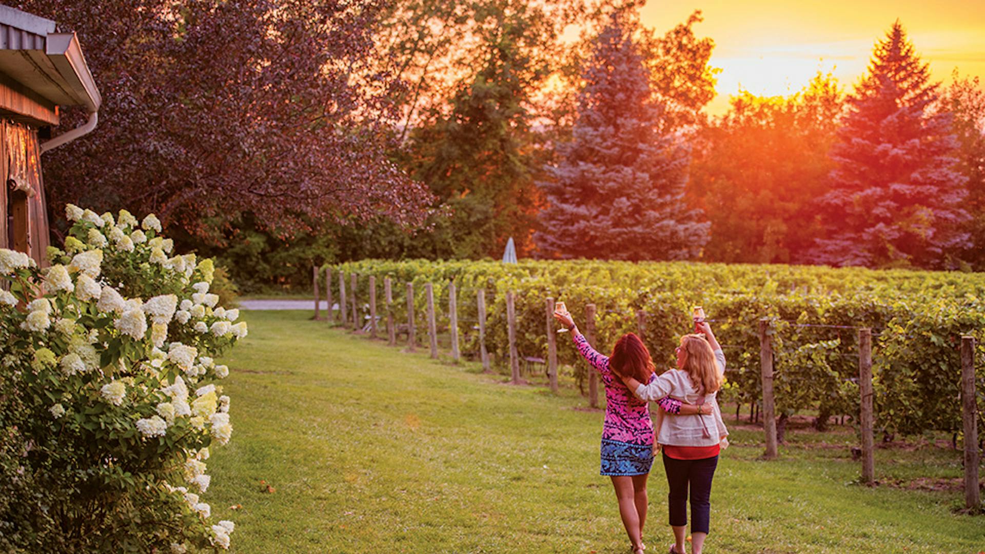 Friends enjoying wine on the Traverse Wine Coast in Traverse City, Michigan (photo courtesy of Traverse City Tourism)