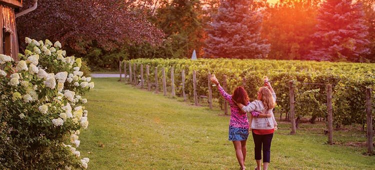 Friends enjoying wine on the Traverse Wine Coast in Traverse City, Michigan (photo courtesy of Traverse City Tourism)