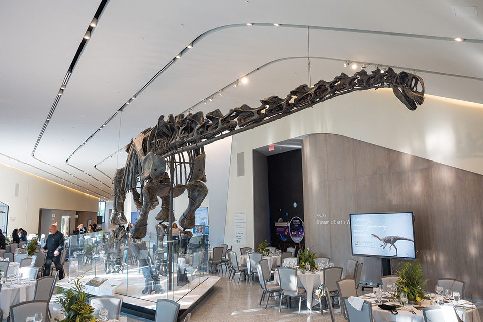 Interior of the Visitor Hall at the Cleveland Museum of Natural History (photo courtesy of Cleveland Museum of Natural History)