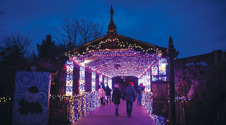 People walking through tunnel at Wildlightss