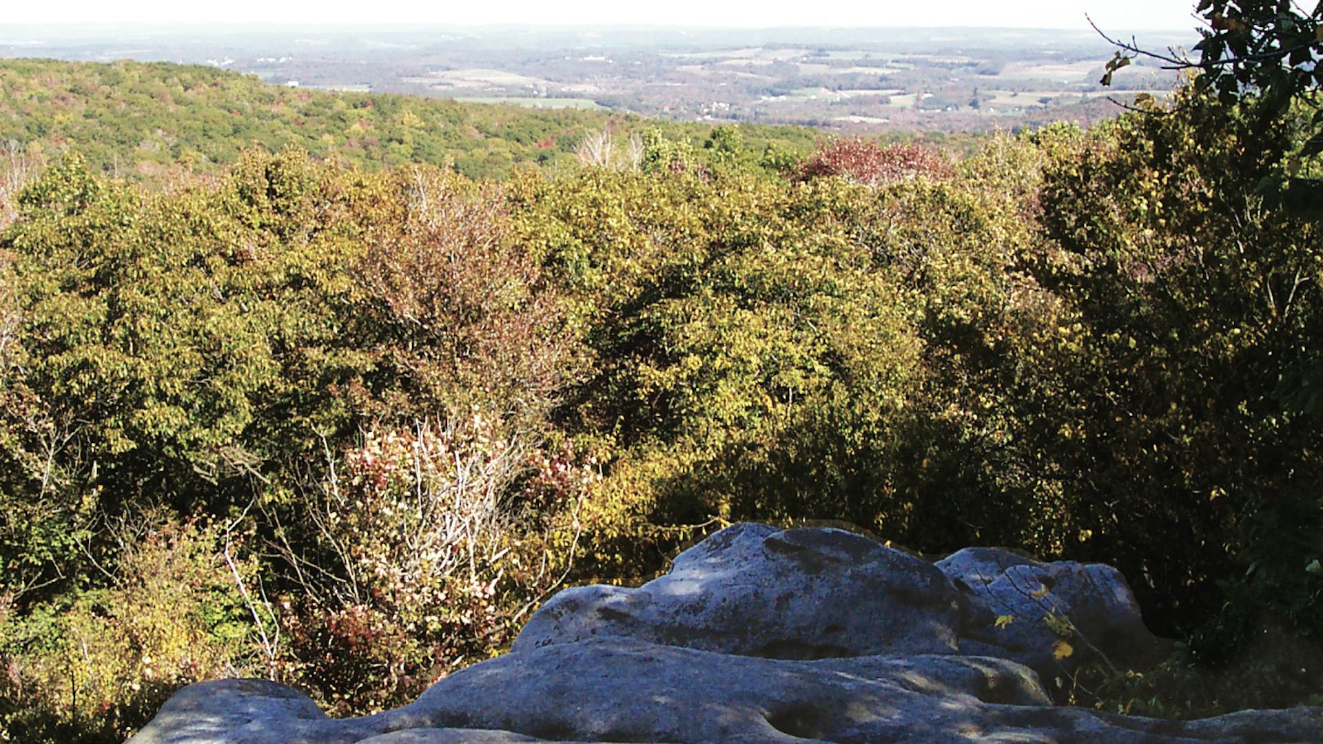 Beam Rocks at Forbes State Forest in Pennsylvania (photo courtesy of Pennsylvania Department of Conservation and Natural Resources)