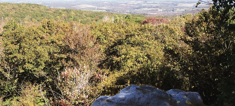 Beam Rocks at Forbes State Forest in Pennsylvania (photo courtesy of Pennsylvania Department of Conservation and Natural Resources)