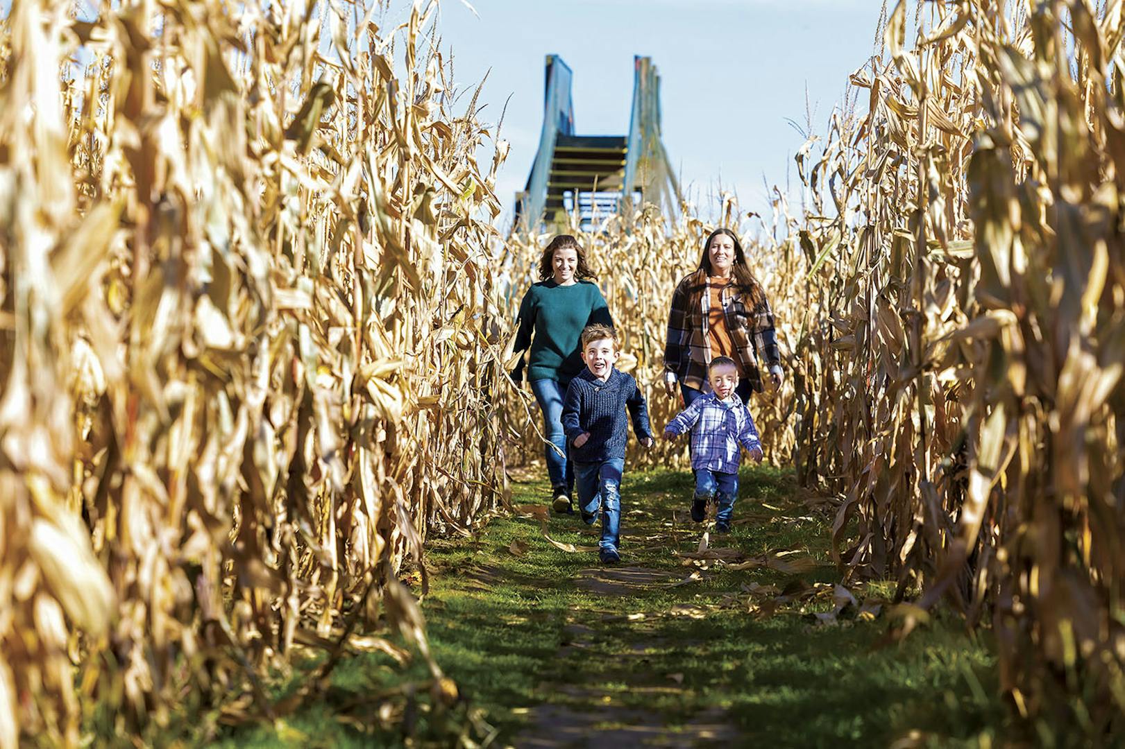 Women and children explore a corn maze in Stark County, Ohio