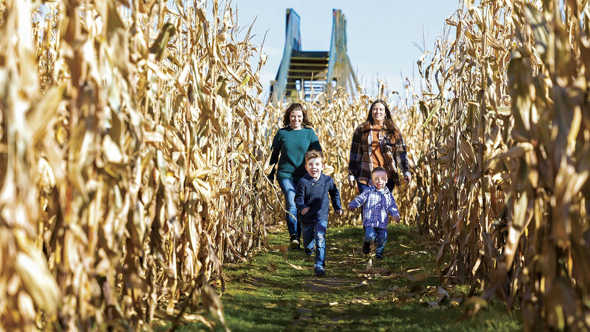 Women and children explore a corn maze in Stark County, Ohio