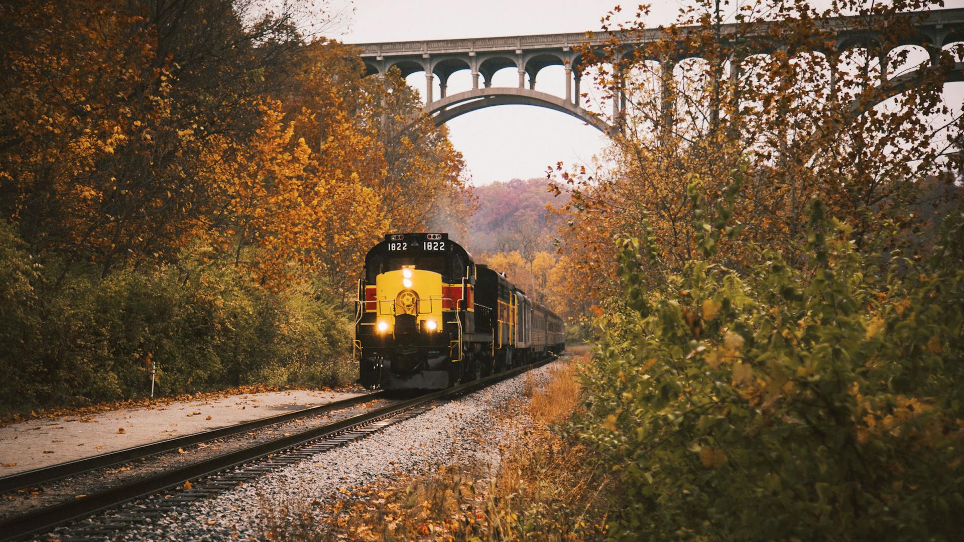 Cuyahoga Valley Scenic Railroad (photo by Michelle Peters)