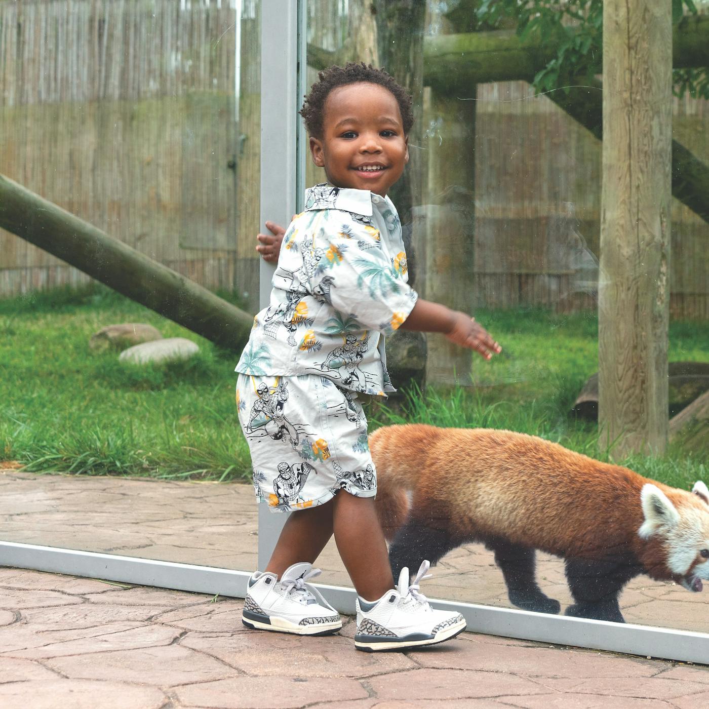 Child looking at red panda at Potawatomi Zoo in South Bend, Indiana (photo courtesy of Potawatomi Zoo))