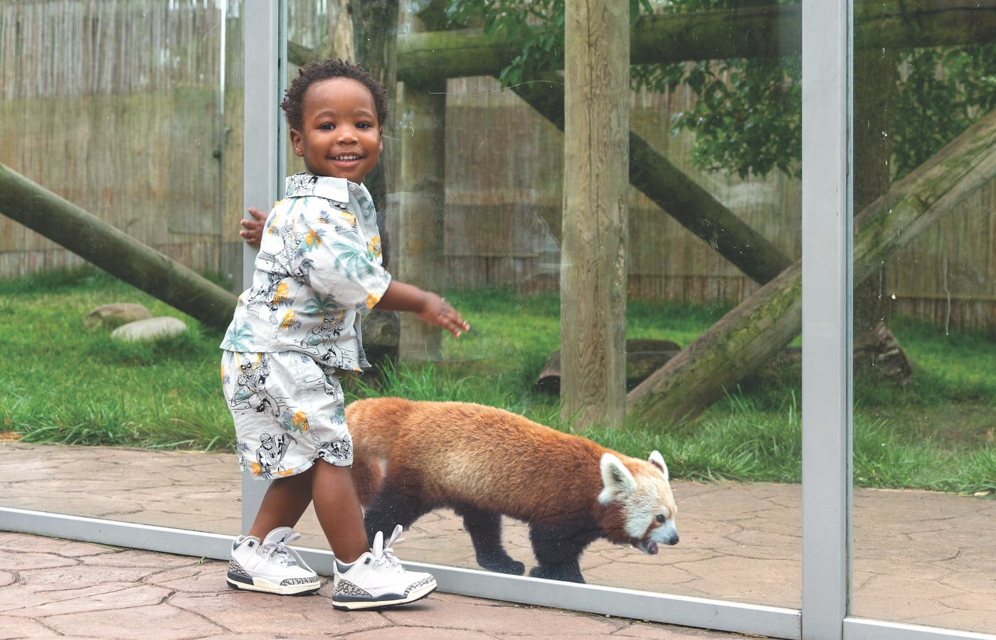 Child looking at red panda at Potawatomi Zoo in South Bend, Indiana (photo courtesy of Potawatomi Zoo)
