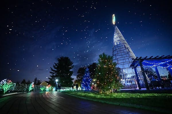 Illuminated trees and path at Oglebay Resort’s Festival of Lights in Wheeling, West Virginia (courtesy of Oglebay Resort)