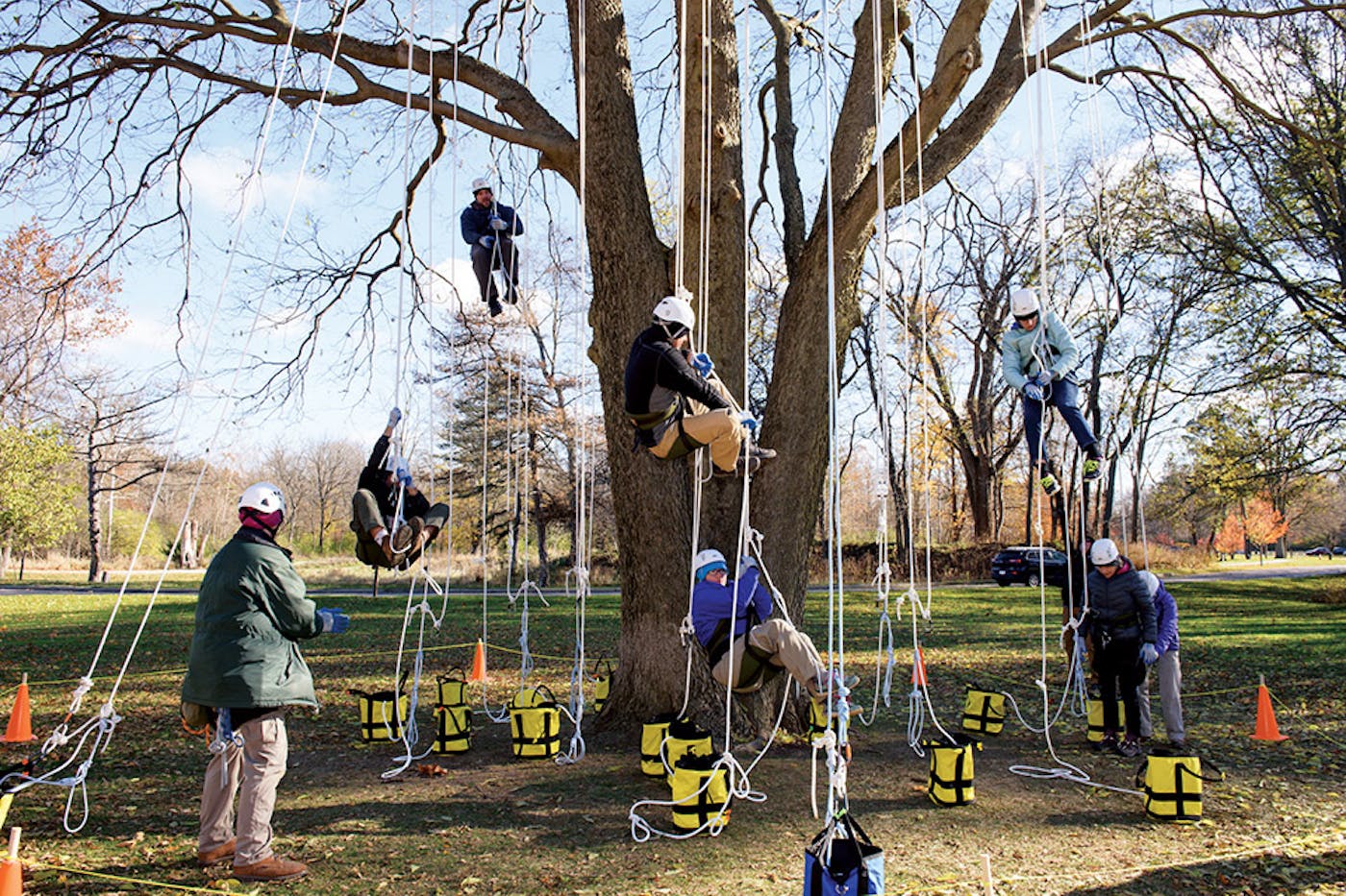 A group tries their hand at tree climbing at Metroparks Toledo)