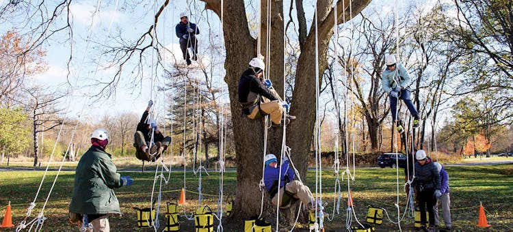 A group tries their hand at tree climbing at Metroparks Toledo