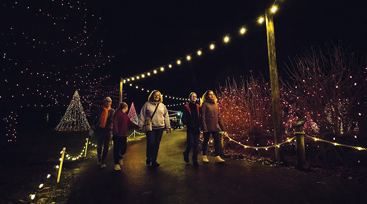 People walking in illuminated light display at ChristmasTown at the Creation Museum in Petersburg, Kentucky (photo courtesy of the Creation Museum)